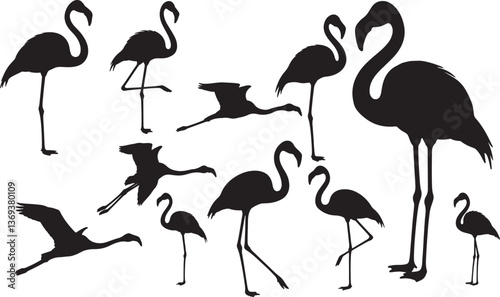Flamingo Silhouette