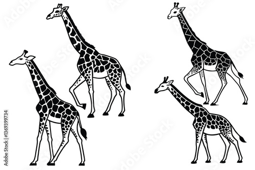 vector illustration of giraffe