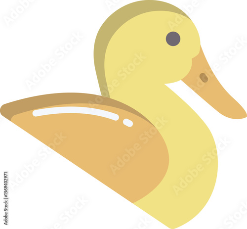 duck (2) Illustration on a white background