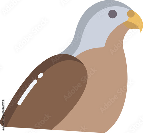 falcon Illustration on a white background