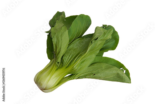 Принти на полотні Cantonese lettuce isolated on white background