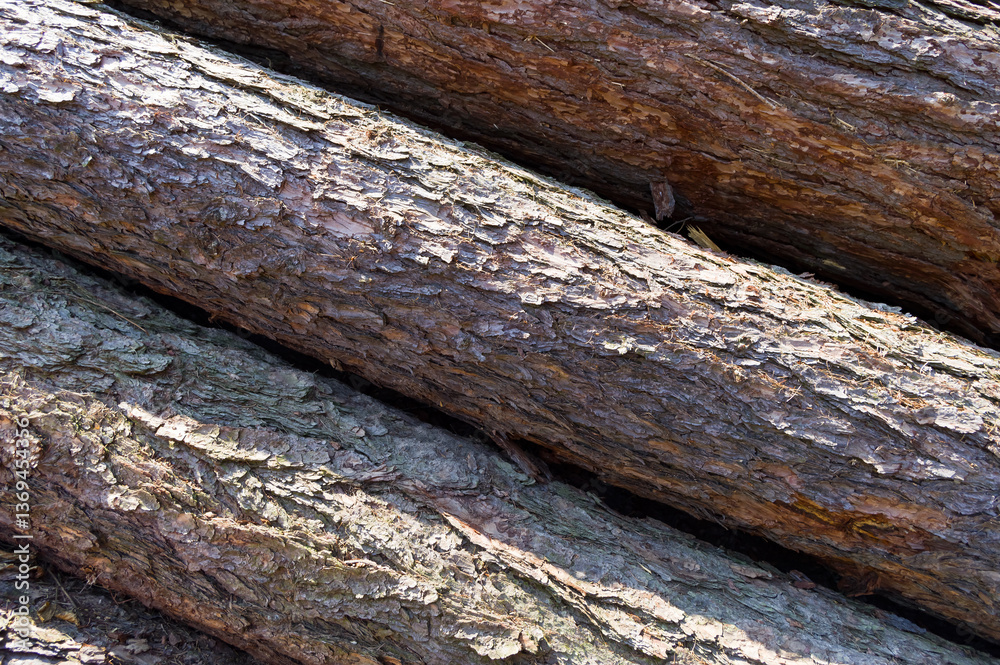 Close-up view of tree trunks. Warehouse of material ready for further processing. Abstract background for various uses. Close-up view of tree trunks. Warehouse of material ready for further processing. Abstract background for various uses.