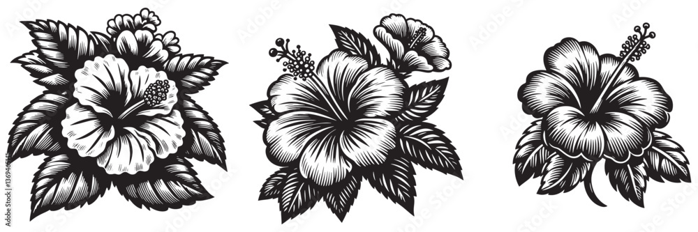 Obraz premium Hibiscus flower in traditional woodcut drawing, black and white botanical illustration