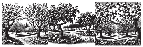 Wallpaper Mural Plum Orchard in traditional woodcut drawing, black and white botanical illustration Torontodigital.ca