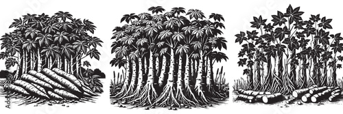 Wallpaper Mural Yam Plantation in traditional woodcut drawing, black and white botanical illustration Torontodigital.ca