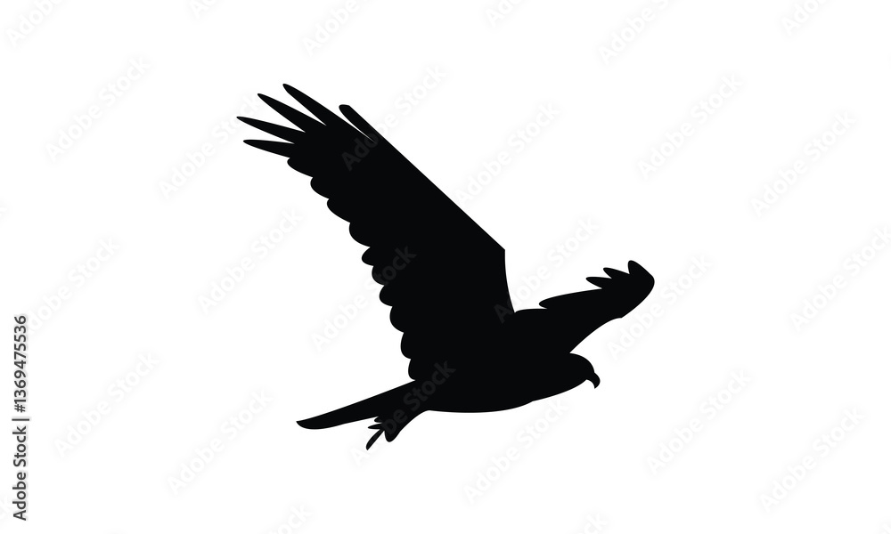 Obraz premium Flying African marsh harrier bird Silhouette Design And Vector Illustration. 