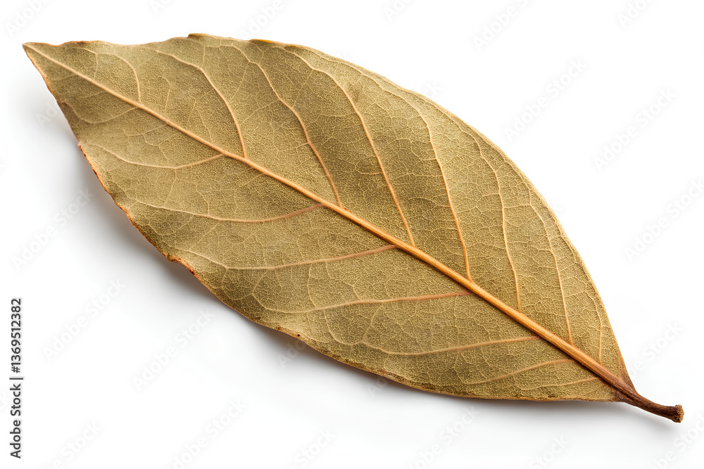Obraz premium Dried Bay Leaf Isolated on White Background