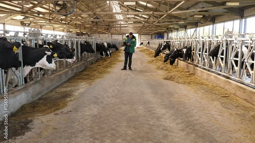 Wallpaper Mural Portrait of a veterinarian in uniform in a cowshed on a dairy farm, he makes notes in documents. Torontodigital.ca