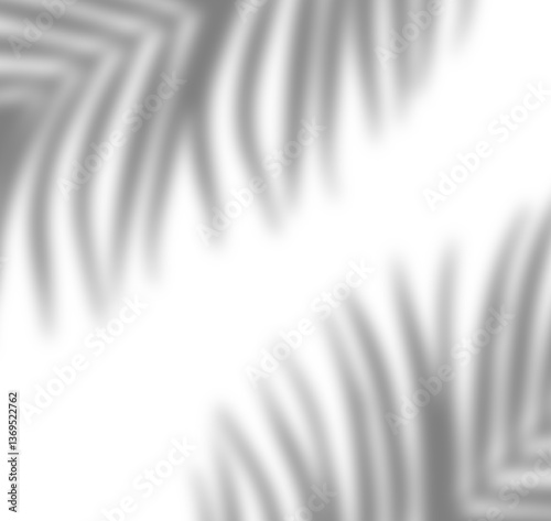 Realistic palm leaves / tropical leaves shadow overlay effect for natural lighting in mockups and product photos decoration