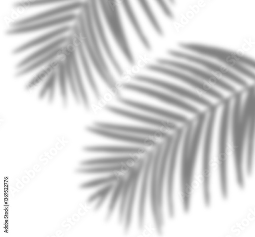 Realistic palm leaves / tropical leaves shadow overlay effect for natural lighting in mockups and product photos decoration