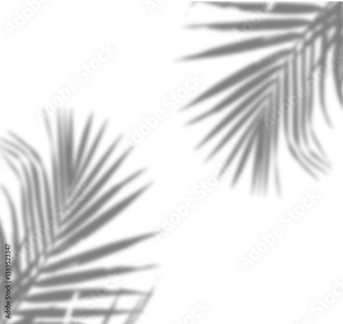 Realistic palm leaves / tropical leaves shadow overlay effect for natural lighting in mockups and product photos decoration