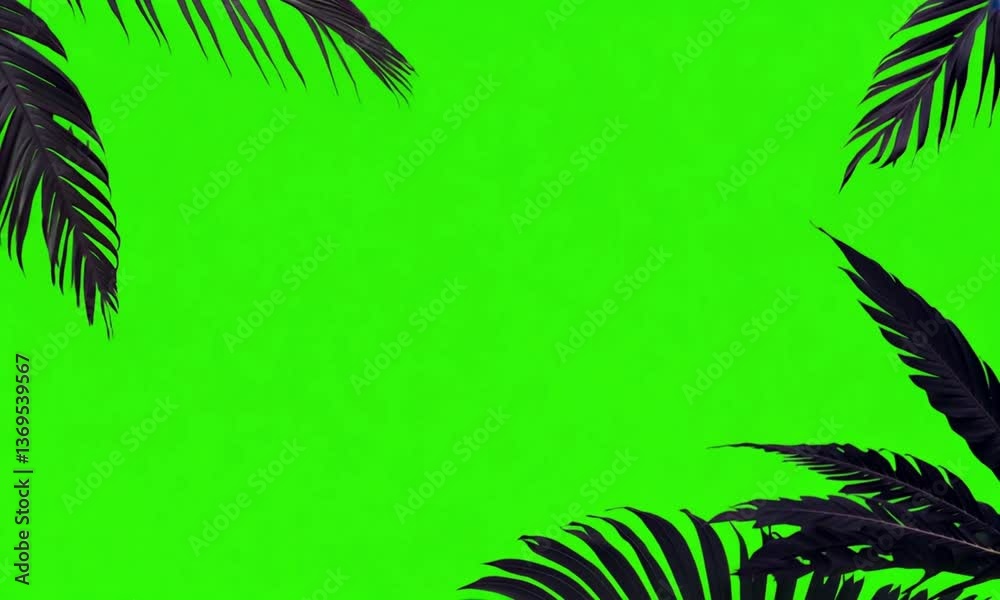 palm leaves on green screen