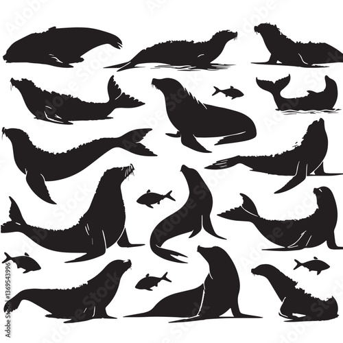 Black Caribbean Monk Seal Silhouette Vector, High Quality Illustration on White Background