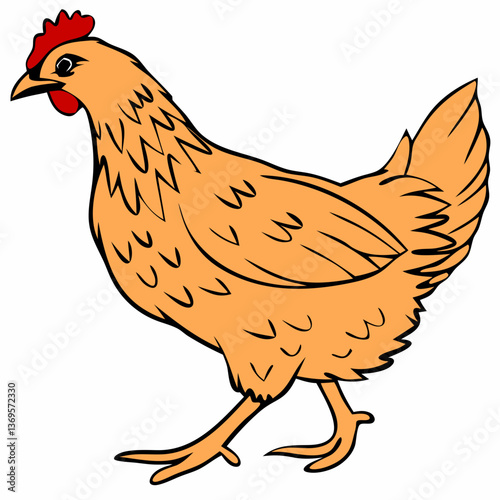 brown body of chicken hen standing isolated transparent background