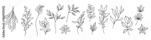 Set of Hand drawn winter plants sketch. Christmas branch. Holly twig. Mistletoe leaves and flowers. Poinsettia flowers. Line art floral botanical Vector illustrations isolated
