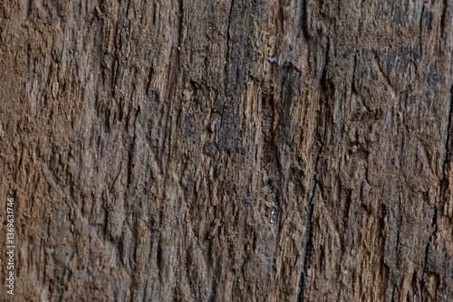 Wallpaper Mural Top view of the wood surface Torontodigital.ca