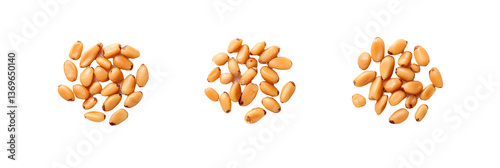 Isolated dry wheat seed, a healthy raw grain ingredient