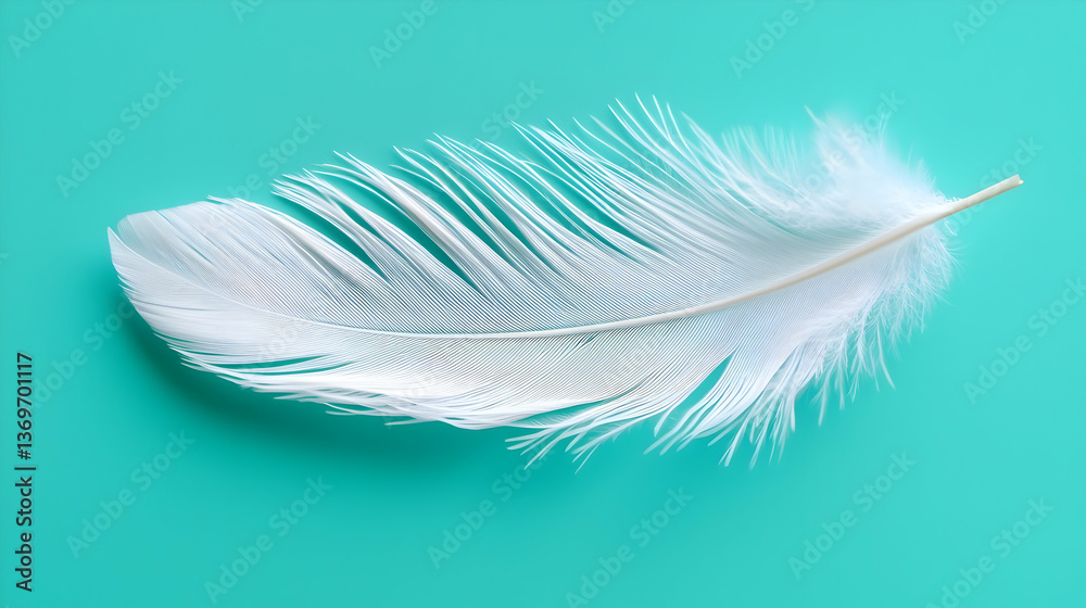 Obraz premium Delicate White Feather on Teal Background
