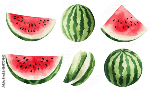 Vibrant Watercolor Vector Set of Ripe Watermelon Slices and Whole Fruits for Fresh Summer Designs