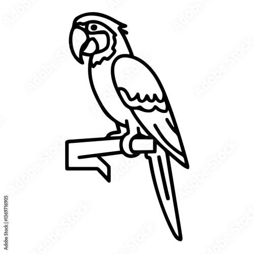 macaw