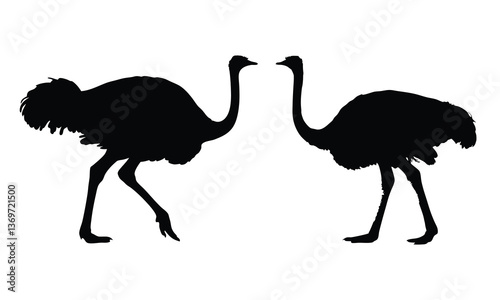 Ostrich silhouette vector, emu bird black silhouette