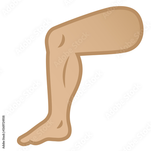 Human Leg

