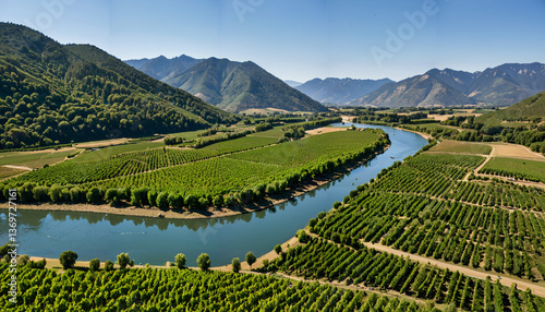 le paysage vallonné verdoyant
