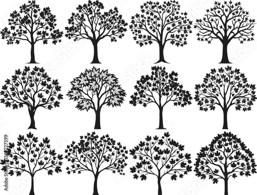 Maple Tree Svg Bundle