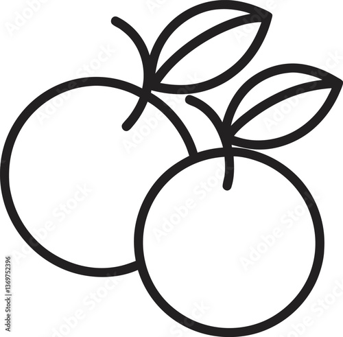  damson plums fruit outline icon on white background.