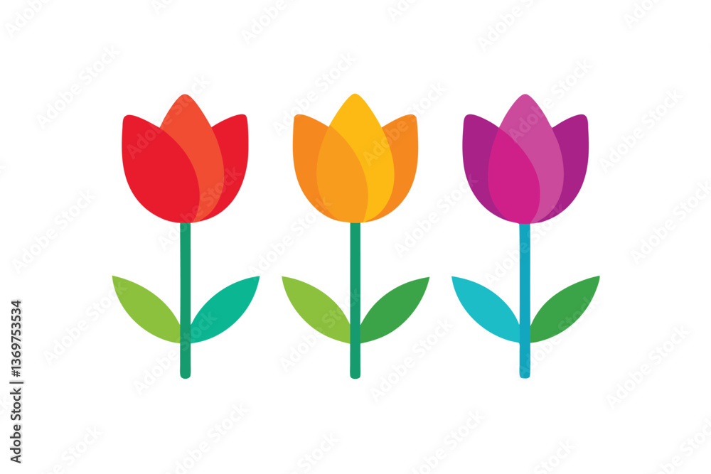 bouquet of tulips