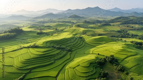 Stunning terraced rice fields stretch across the hills of Vietnam, showcasing vibrant green hues and intricate patterns under the soft light of evening