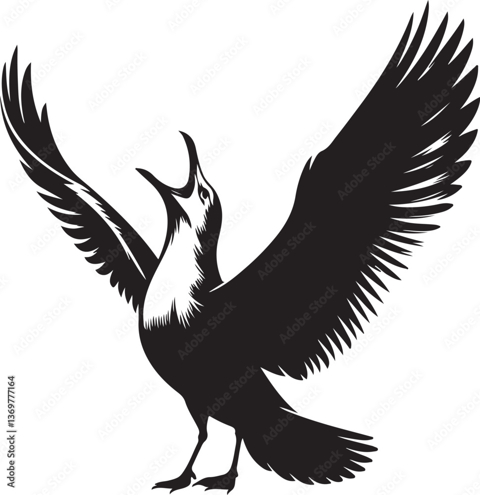 Fototapeta premium silhouette Seagull In Flight 