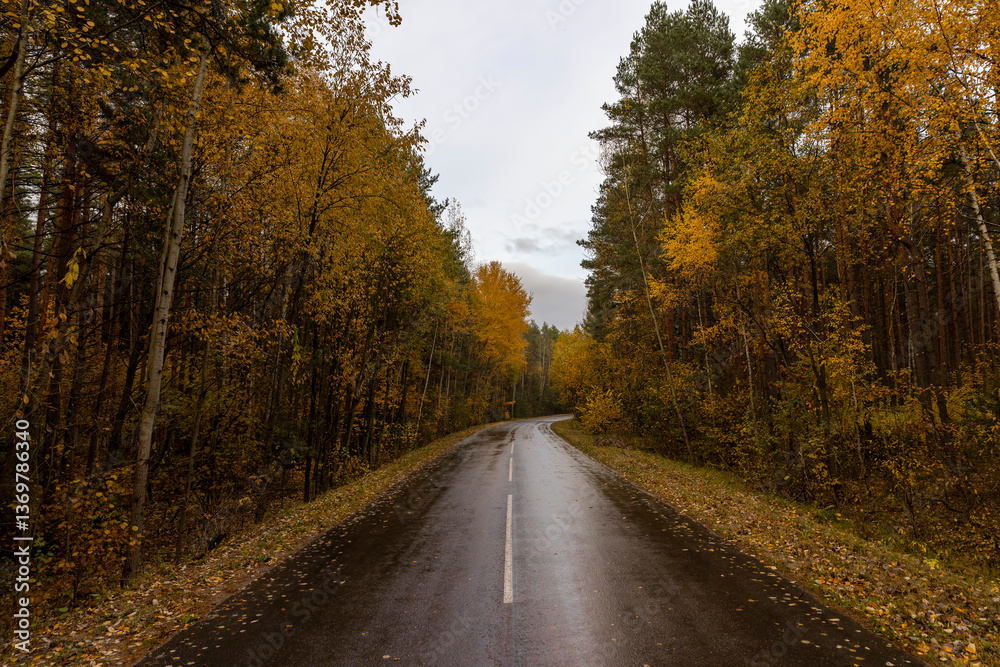 Fototapeta premium a small paved road in autumn is wet after rain