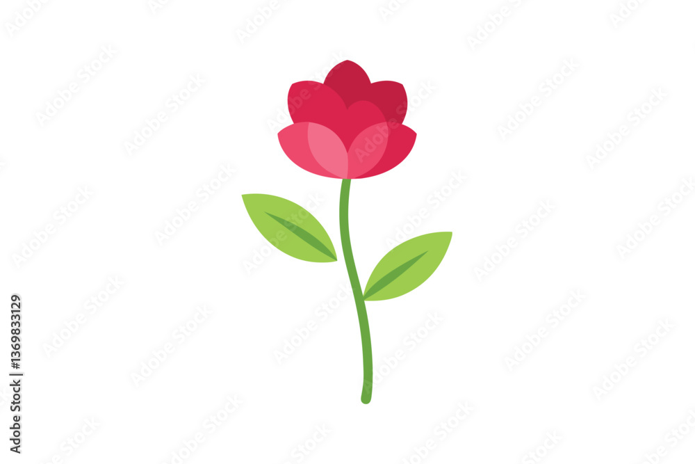 Fototapeta premium pink rose isolated on white background