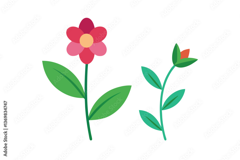 Fototapeta premium pink flower isolated on white background