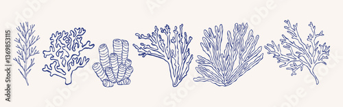 Coral line art set. Minimalist underwater illustrations.