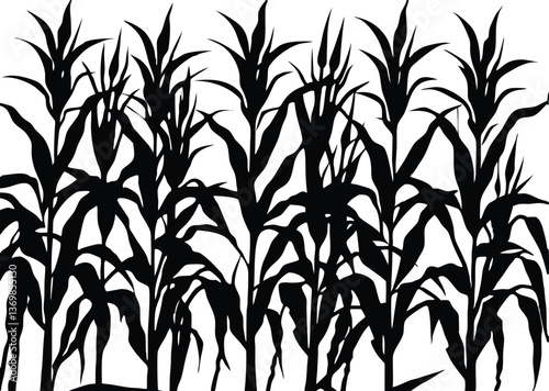Maize field silhouette. Corn farm black vector illustration. Cultivation of crops.