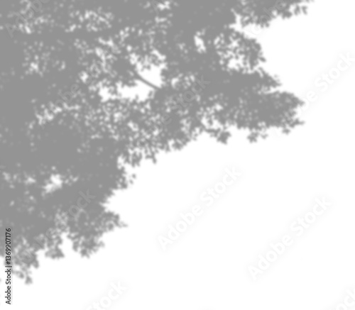 Shadows of tree branches and leaves isolated on a transparent background. Natural dark leaf and branch shadows with dappled sunlight effect. A realistic overlay design element perfect for presentation