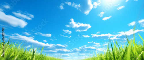 An angle looking up at the vast grassland and clear, sunny blue sky, with copy space, can be used as a background for event decoration or product advertising.