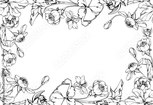Spring flowers with leaves, white forest cloudberry apple cherry sakura anemone primrose ephemera, hand drawn vector ink. Border frame isolated illustration, for wedding, florist shop, scrapbooking