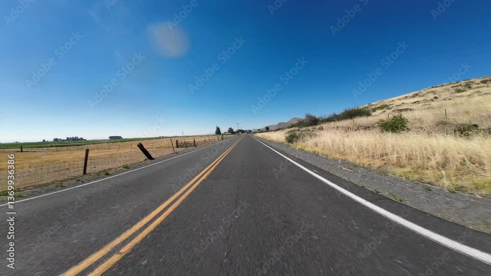 Northern California Mormon Crickets Swarm 2023 02 Front View Driving Plates USA Ultra Wide Northern California Mormon Crickets Swarm 2023 02 Front View Driving Plates USA Ultra Wide
