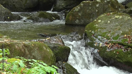 山の中を流れる水1