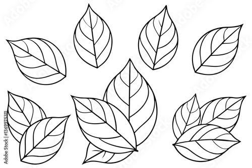 Dogwood leaf line art illustration for nature lovers (1)