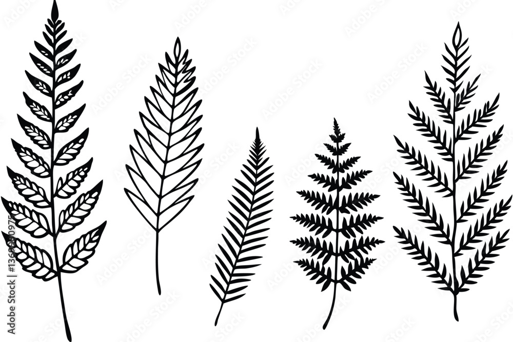 King fern leaf line art illustration for designs (1)