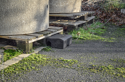 Black rodent bait and trap station being used outside a building to control rats.