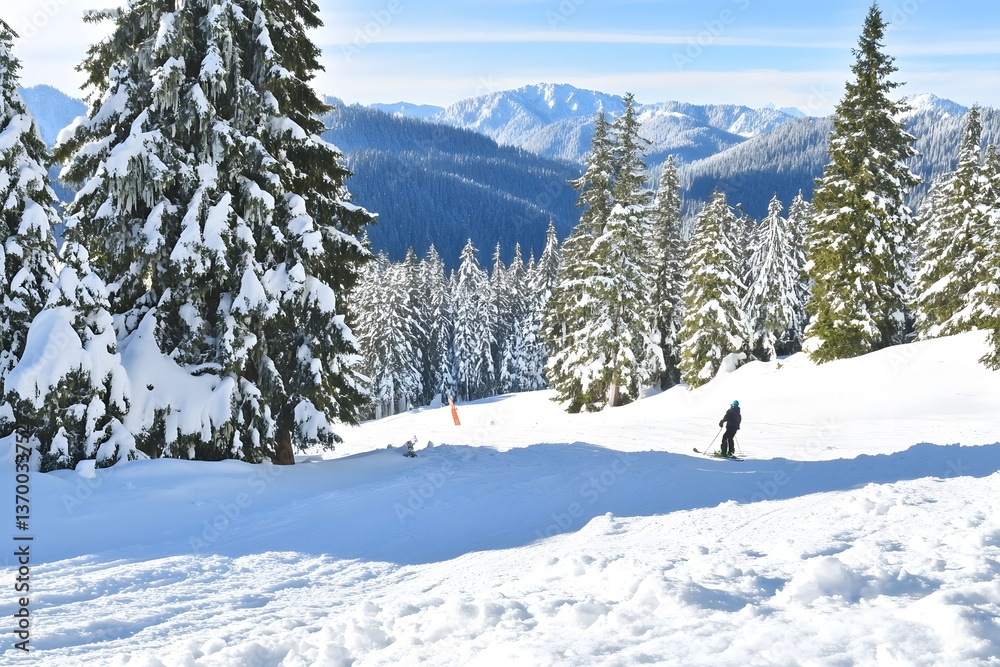 Snowy mountains with skier among snow-covered pine trees on slopes Snowy mountains with skier among snow-covered pine trees on slopes