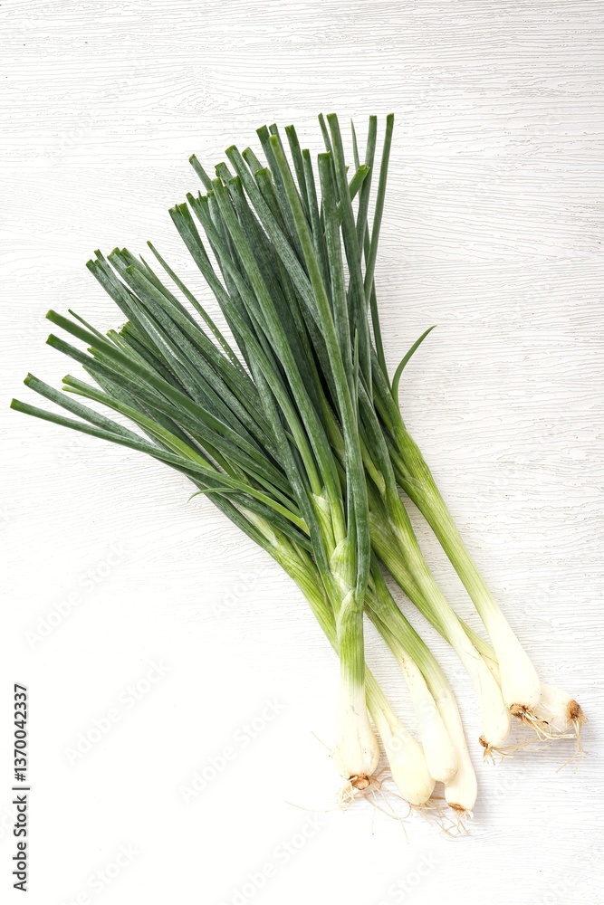 Spring onion,Green shallot on white background Spring onion,Green shallot on white background