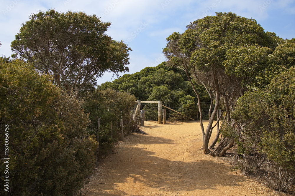 Hiking track at the coast in Torquay, Victoria, Australia