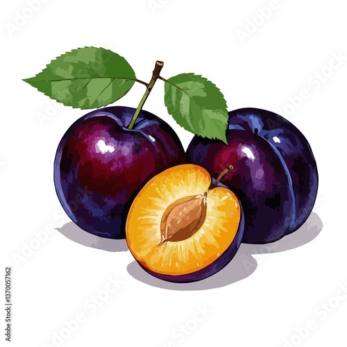 Hand drawn vector illustration of fruits with branches and leaves. Fruit packaging material, organic, fresh and healthy.