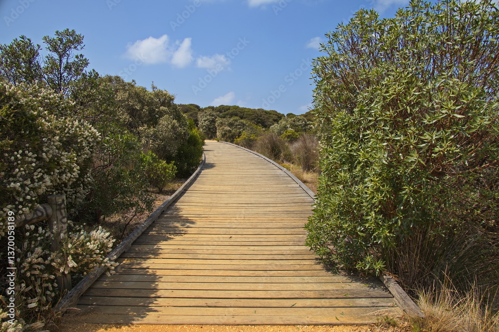 Boardwalk at Anglesea River in Anglesea, Victoria, Australia